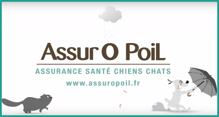 Assur O'Poil, assurance chien et chat